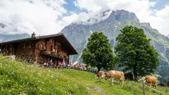 I dessa länder tas turister emot med öppna armar: en stressfri resa